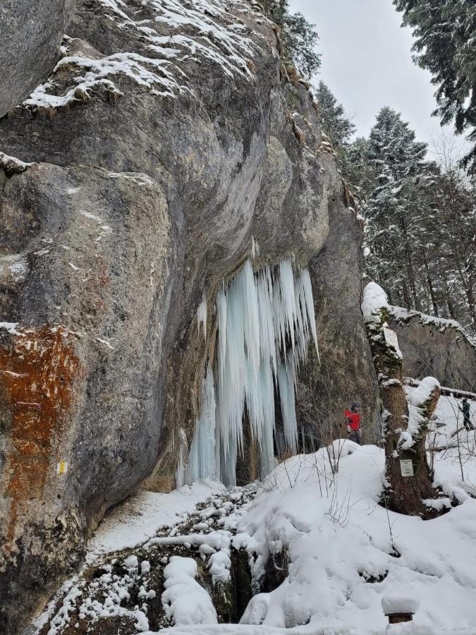 7Soapte Тімішу-де-Жос Екстер'єр фото